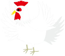 羽を広げた白い鶏のイラスト
