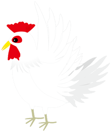 白い鶏のイラスト