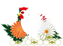 和柄の菊の花と白い鶏のイラスト