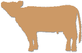 首を上げている横向きの牛のシルエットのイラスト　薄いブラウン
