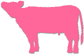 首を上げている横向きの牛のシルエットのイラスト　ピンク