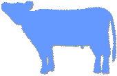 首を上げている横向きの牛のシルエットのイラスト　ブルー