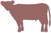 首を上げている横向きの牛のシルエットのイラスト　薄い小豆色