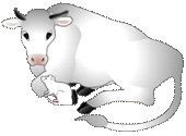 よこになっている白い牛の顔のところに挨拶に来ているねずみのイラスト